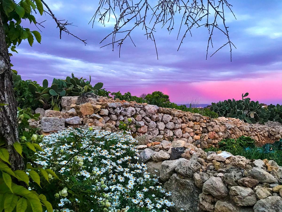 Апартаменты L'Gharix Temple Retreat Шаара Экстерьер фото